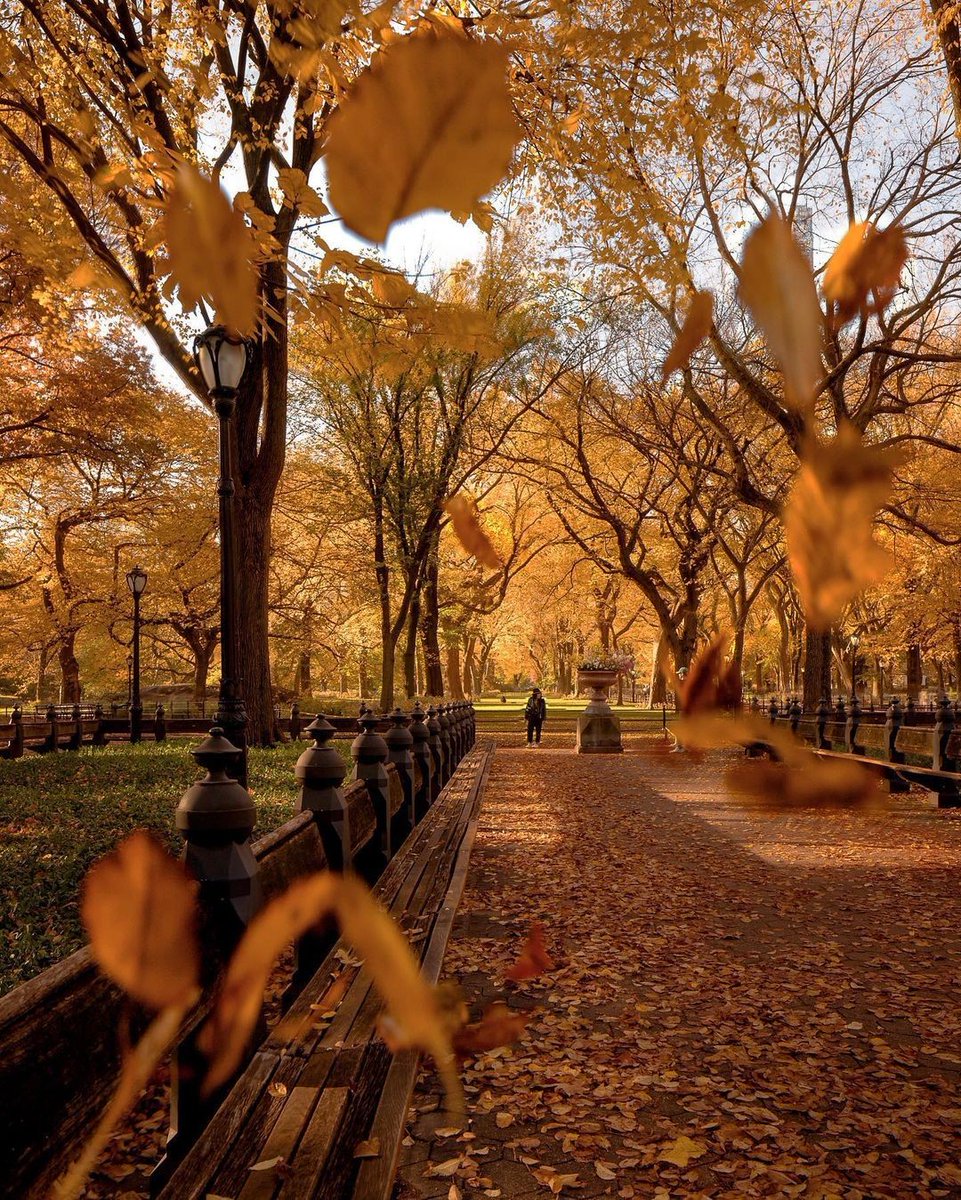 romanticize fall 🤎