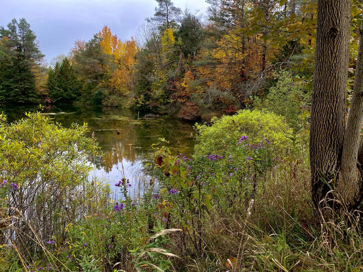 🍂  During fall, winter, and early spring, this account will be quieter than usual, but we aren't signing off completely! We will post occasional updates, but we may take longer to respond to questions.
If you have any questions or concerns, please call 705-435-2498.