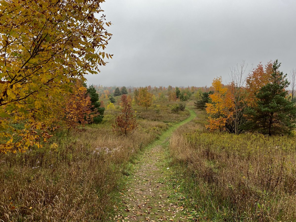 🍂  During fall, winter, and early spring, this account will be quieter than usual, but we aren't signing off completely! We will post occasional updates, but we may take longer to respond to questions.
If you have any questions or concerns, please call 705-435-2498.