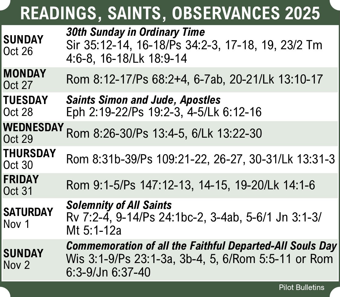 StMarysWinMA's tweet image. #weeklyscripture #stmaryswinma