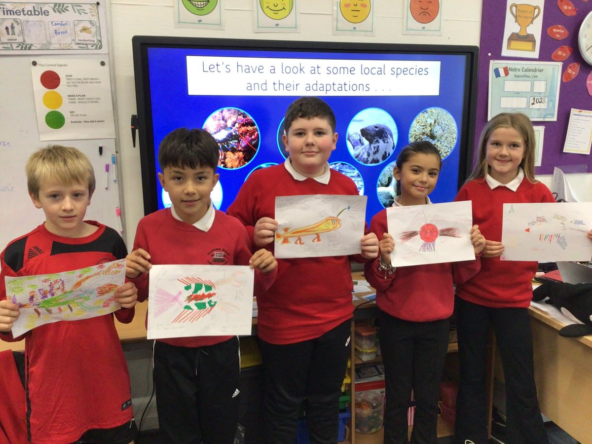 dalips_elc's tweet photo. Mia (Scottish Association of Marine Science) also worked with our upper school classes this week
This time,  P5–7 explored ‘Creature Features’
A huge thank you to Mia for another inspiring and creative STEM session. Our pupils absolutely loved it!
@abc_OCTF Ambitious Learners https://t.co/1QvrZRYljU