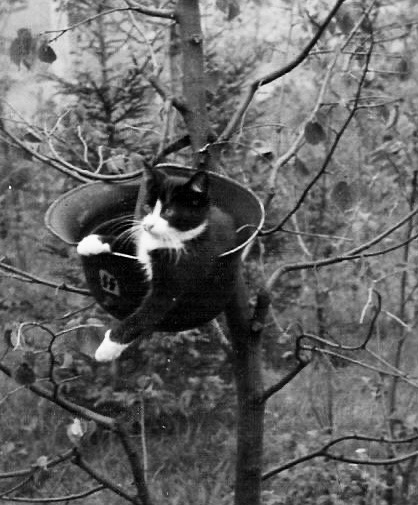 𖤓 (@unconquered_sol) on Twitter photo 