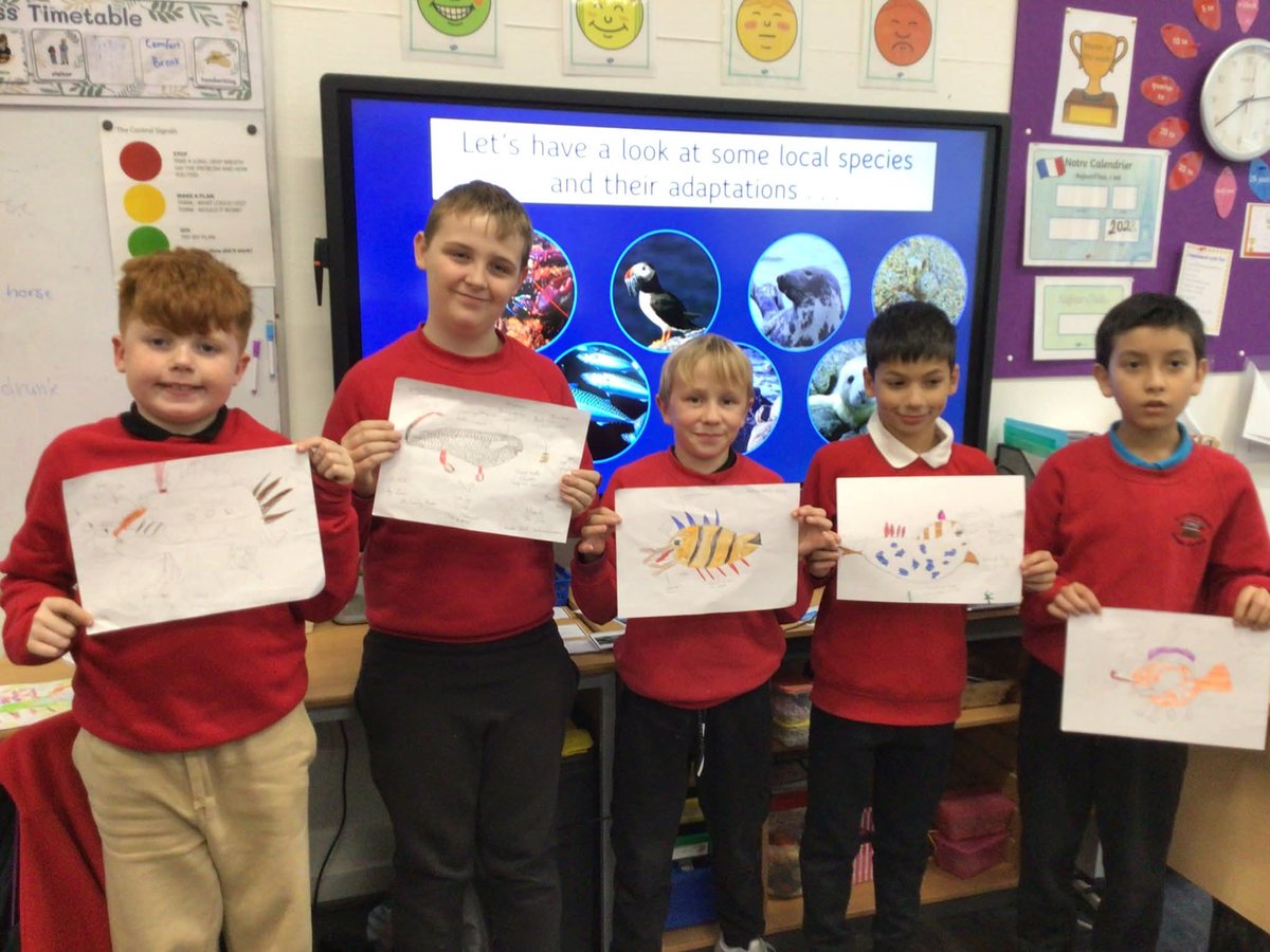 dalips_elc's tweet photo. Mia (Scottish Association of Marine Science) also worked with our upper school classes this week
This time,  P5–7 explored ‘Creature Features’
A huge thank you to Mia for another inspiring and creative STEM session. Our pupils absolutely loved it!
@abc_OCTF Ambitious Learners https://t.co/1QvrZRYljU