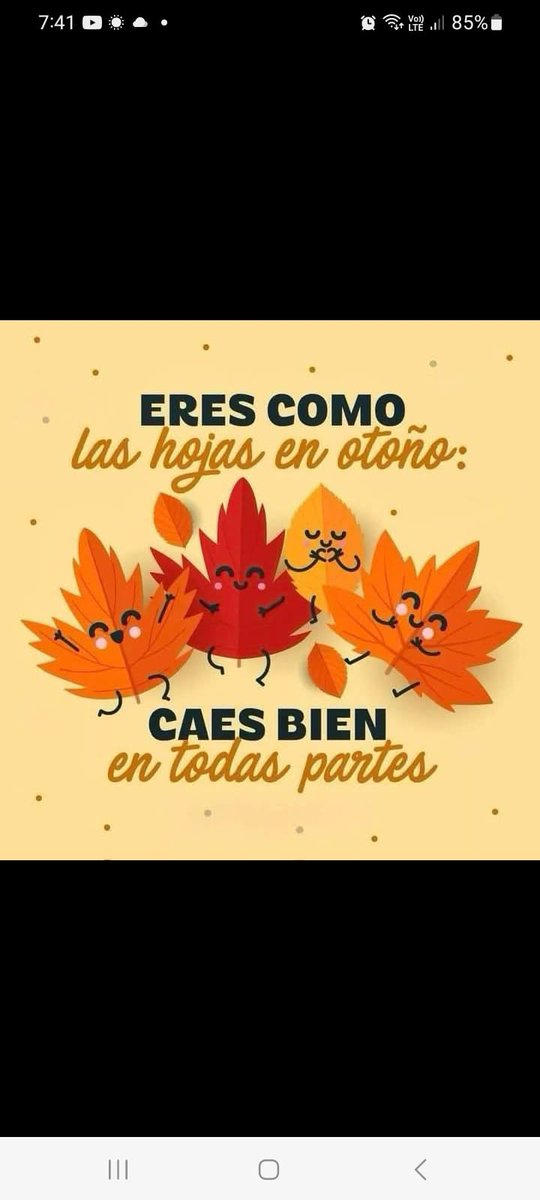 Buenos días amigos.