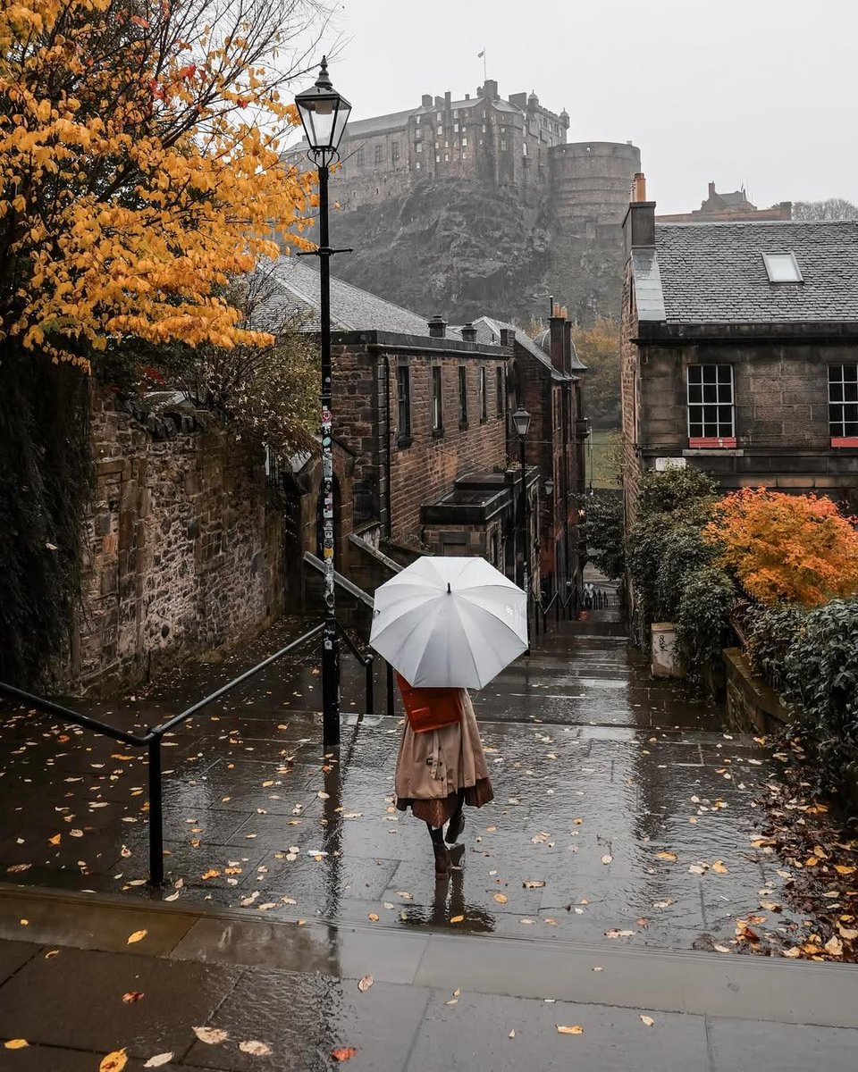 pamvonhadder's tweet image. the sudden urge to experience fall in edinburg