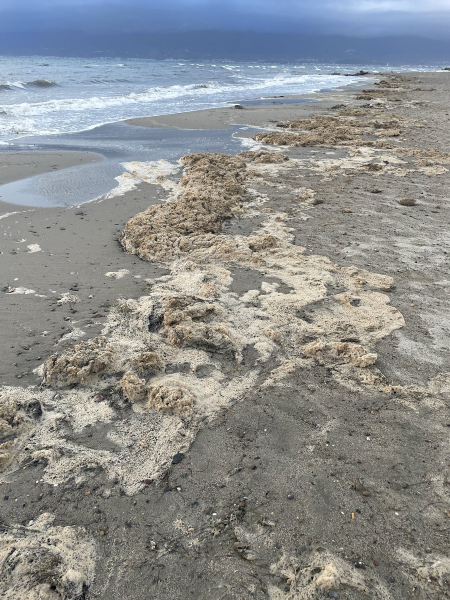 nerminsule's tweet image. Burası Balıkesir/Burhaniye ‘de bir sahil sitesinin plajı.Havran deresinden denize taşınan pislik.Deniz geri veriyor.Yazlıkçılar gitti,kanalizasyonlar denize..@tc_cimer 
@csbgovtr