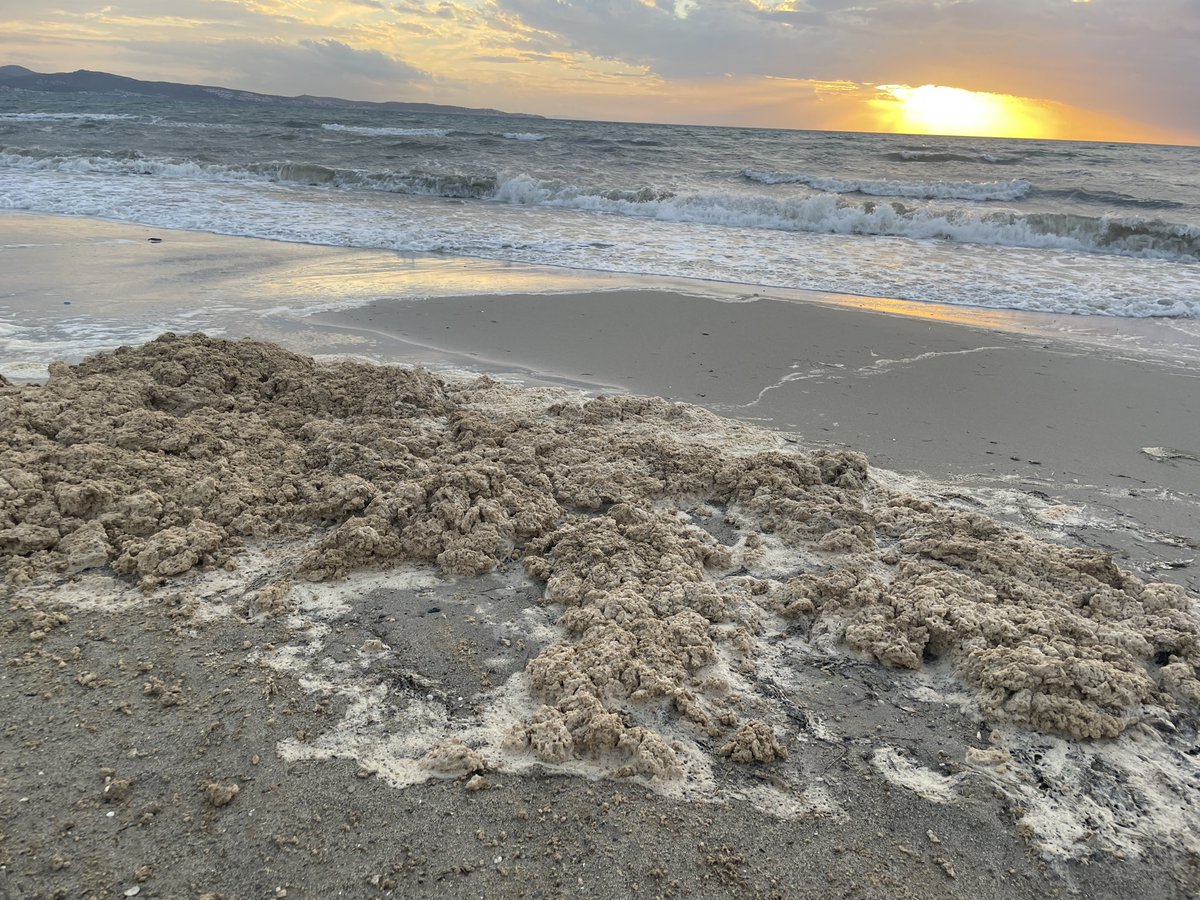 nerminsule's tweet image. Burası Balıkesir/Burhaniye ‘de bir sahil sitesinin plajı.Havran deresinden denize taşınan pislik.Deniz geri veriyor.Yazlıkçılar gitti,kanalizasyonlar denize..@tc_cimer 
@csbgovtr