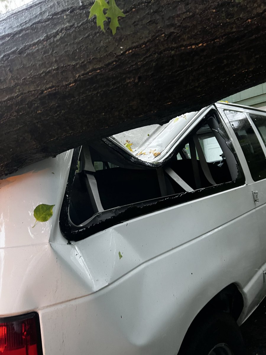 (1/3) hey everyone 

last week, a tree from a neighbor’s yard fell onto our van while it was parked at sam and jonny’s house. thankfully, no one was hurt- but our van is completely totaled.