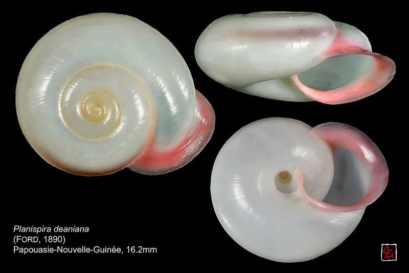 twilightstardew's tweet image. 