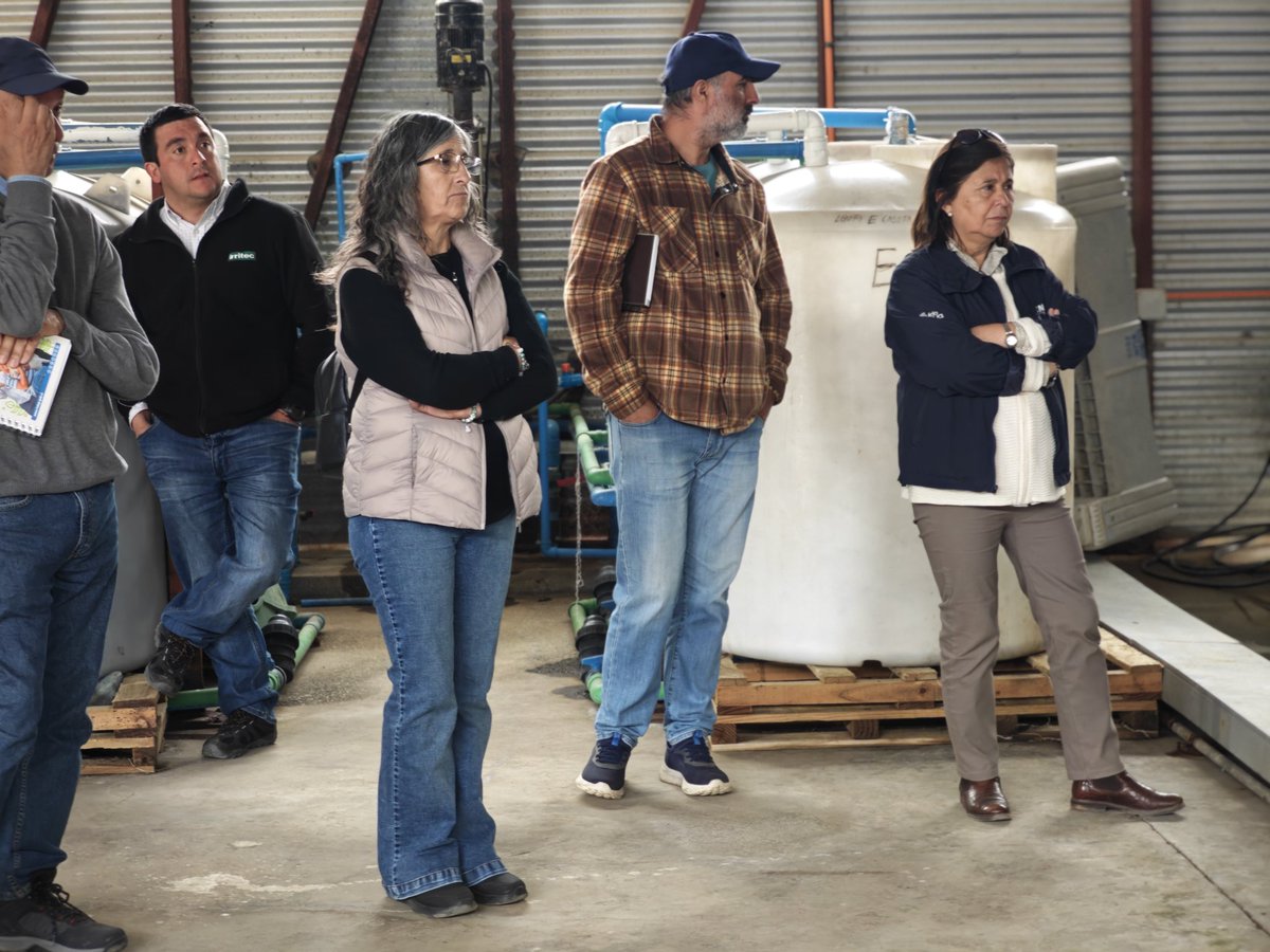💧 #Casablanca | Día de Campo "Operación y Mantención de Sistemas de Riego" en Agrícola Izaro de Casablanca. Gracias a todos por participar de esta actividad destinada a mejorar la eficiencia hídrica.

#GestiónHídrica #EficienciaHídrica