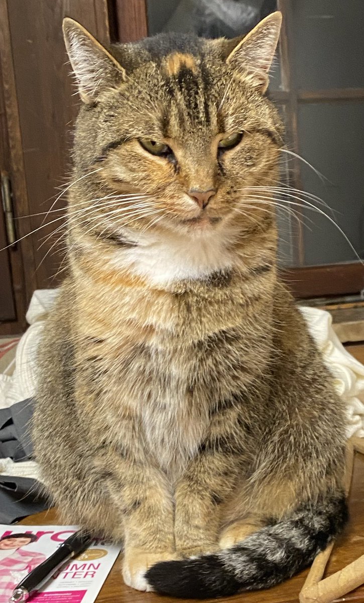 Hier siehts aus!!🤪 … wenn aber auch immer die Chance draufsitzt! 🤷‍♀️