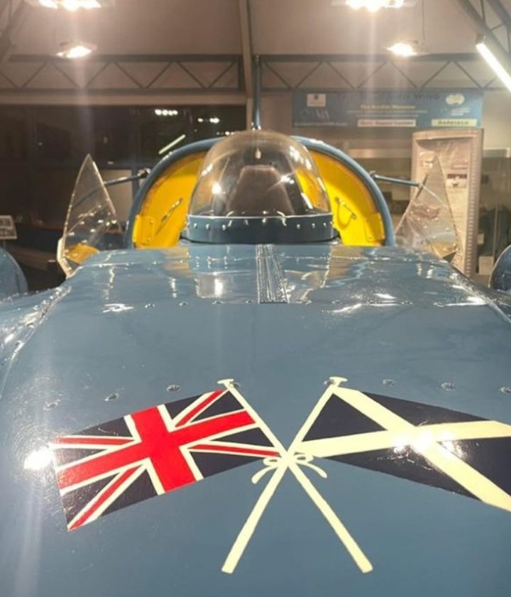 The Bluebird Project tweet media