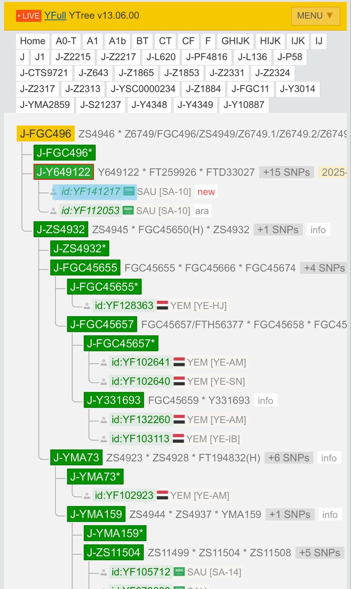 جينات اليمن Yemen's genes tweet media