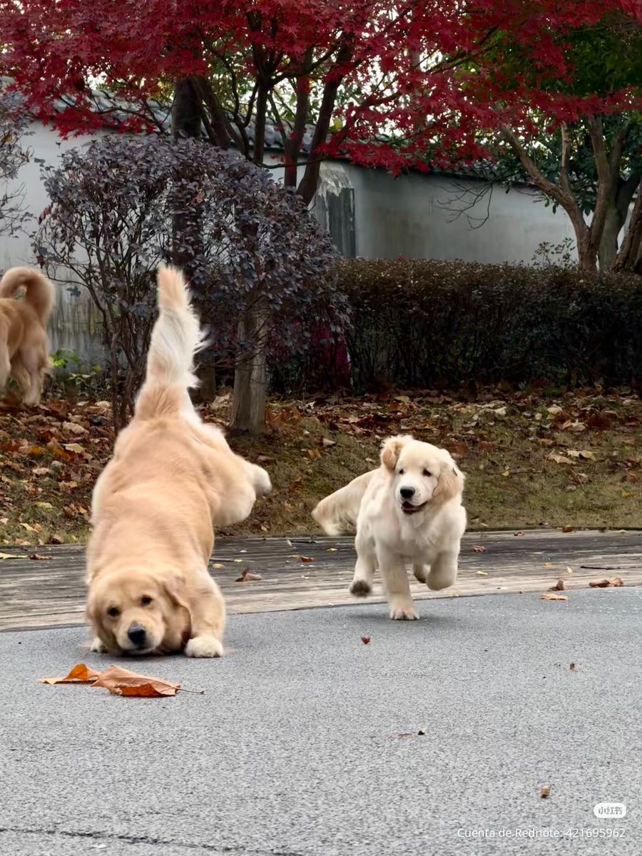 dailypxst's tweet image. 