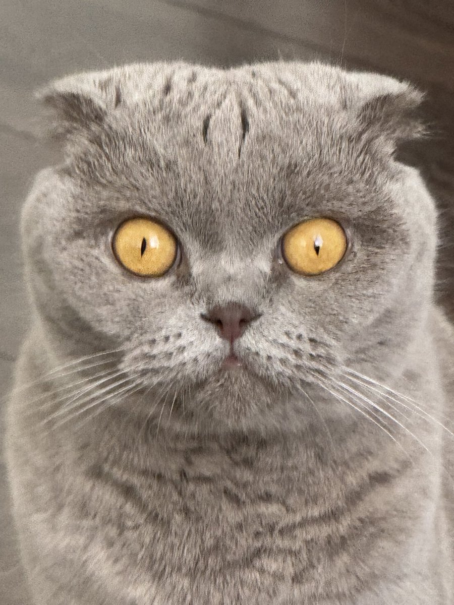 Androm Crypto tweet media