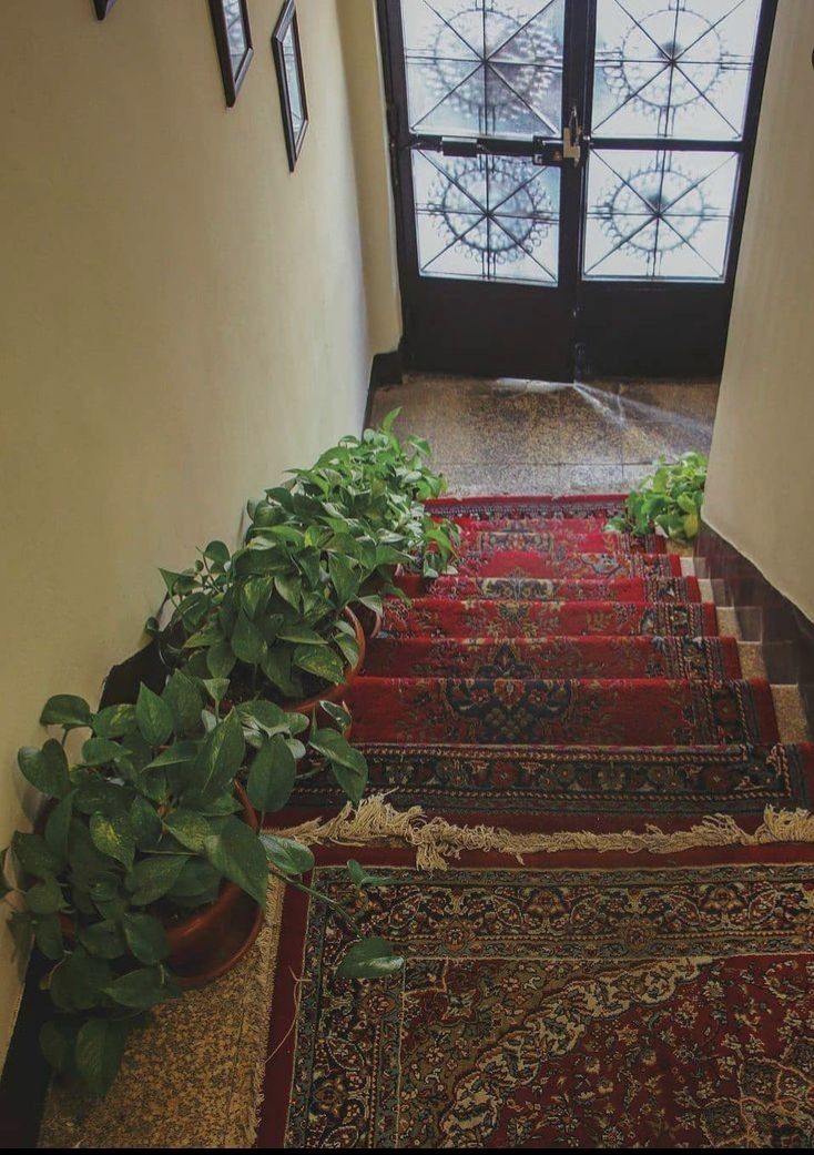 "لا تُعاتِبوا البابَ إن صَرَّ،

فلعلَّهُ يَحرسُ دفءَ البیوت"

#الجمعة