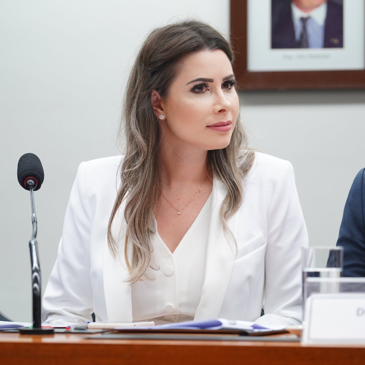 Carol de Toni é uma das deputadas mais produtivas da direita. Uma das raras que entregam resultados reais sem transformar o trabalho em pirotecnia política.

A direita deveria se unir para levá-la, ao lado de Carlos Bolsonaro, ao Senado e não permitir mais uma rasteira.