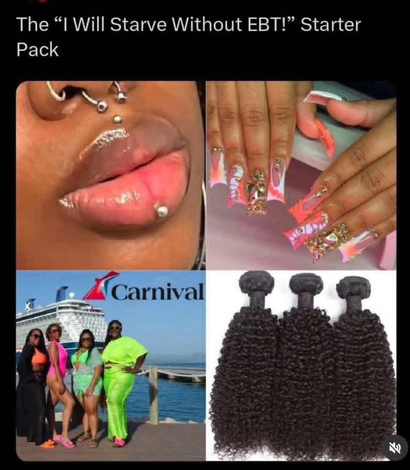 A_Carthusian 84 (@acarthusia62479) on Twitter photo 