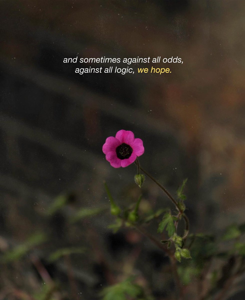 Mind_Essentials's tweet image. 