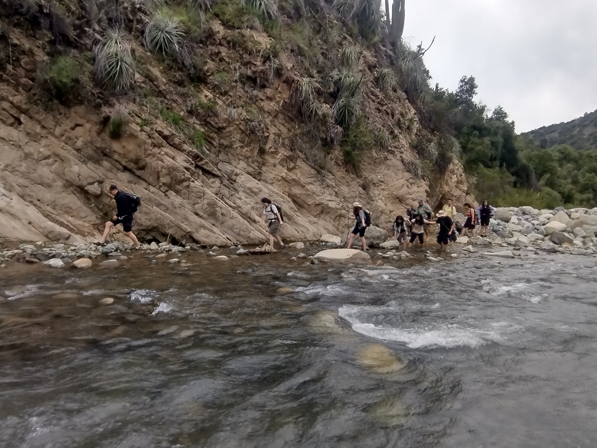 FacforenPrensa's tweet photo. Práctica en terreno permitió el aprendizaje del bosque #esclerófilo y la fauna de la zona central
https://t.co/v5pchg8BVs
#UACh #bosque #conservación https://t.co/m2xVihMRQR