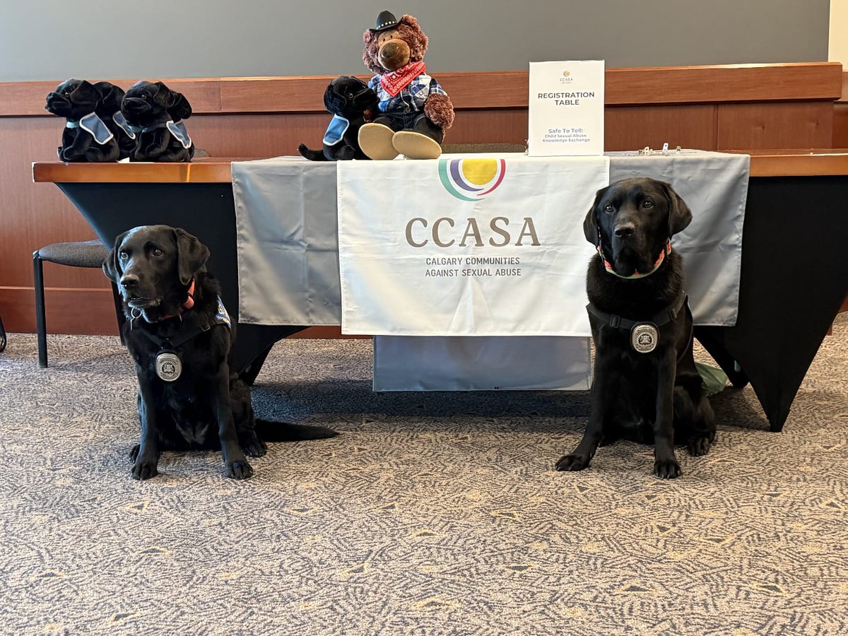 CPSVAST's tweet image. Melon and Cali were honoured to attend the Safe to Tell: Child Sexual Abuse Knowledge Exchange.