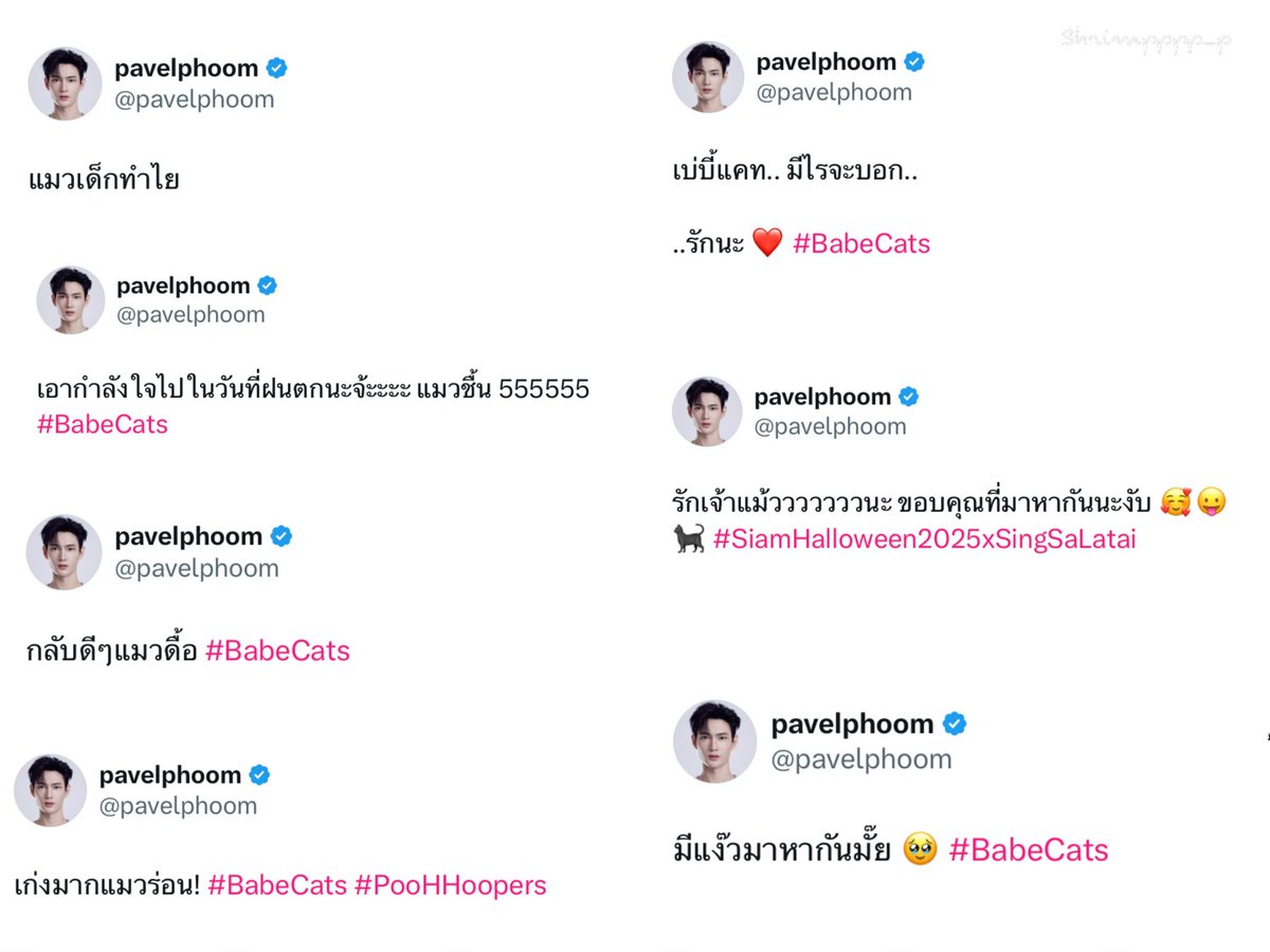 shrimpppp_p's tweet image. จาก “ เบ่บี้แคท ” สู่ … 
- แมวเด็ก
- แมวดื้อ
- แมววัด 
- แมวร่อน 
- แมวชื้น 
และ
- แง๊ว
- แม้วววว
5555555555 วัน ๆ ของพวก #Babecats ถ้านี่ไม่ใช่แฟนคลับที่มีชื่อเรียกเยอะที่สุดในโลก 
เรียกโดยย ปะป๊าของเขาาา 🤭💗🐱🤏🏻
#pavelphoom