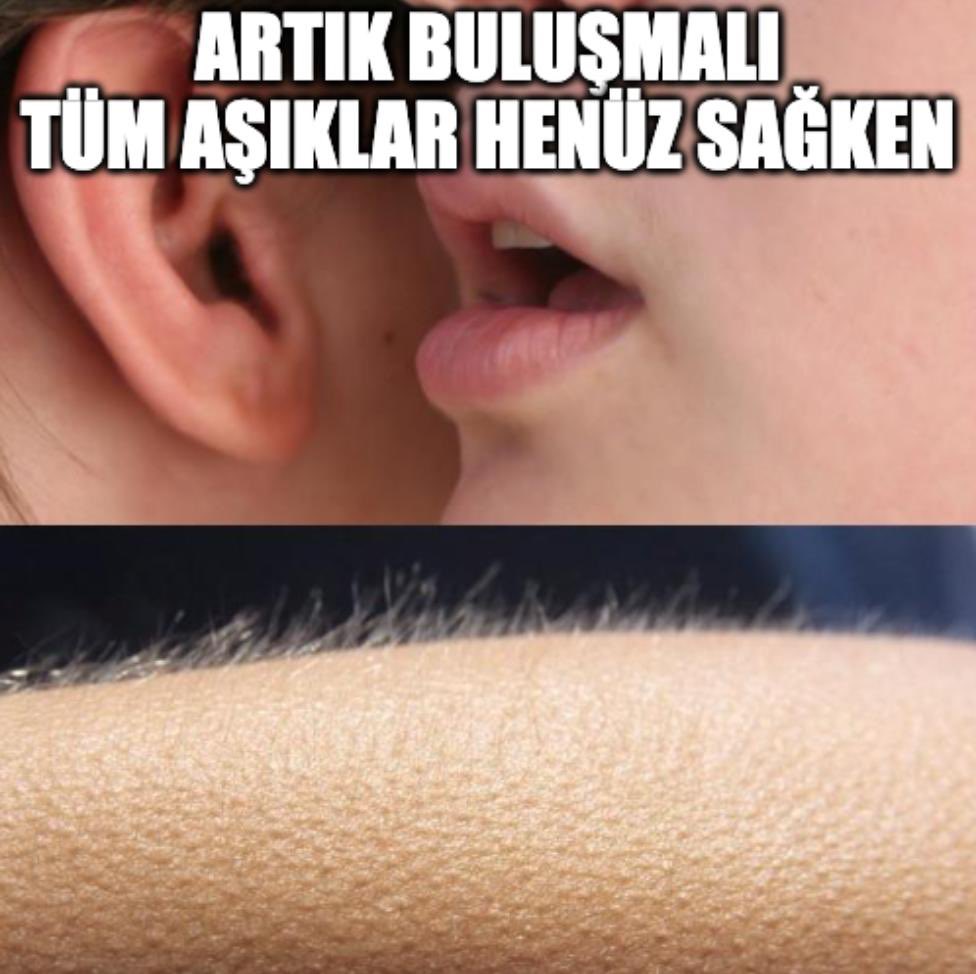 rapertuarcom's tweet image. 