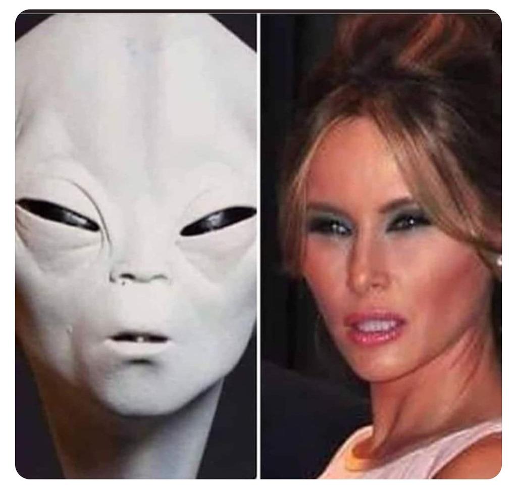 Asilocreo137's tweet image. I agree