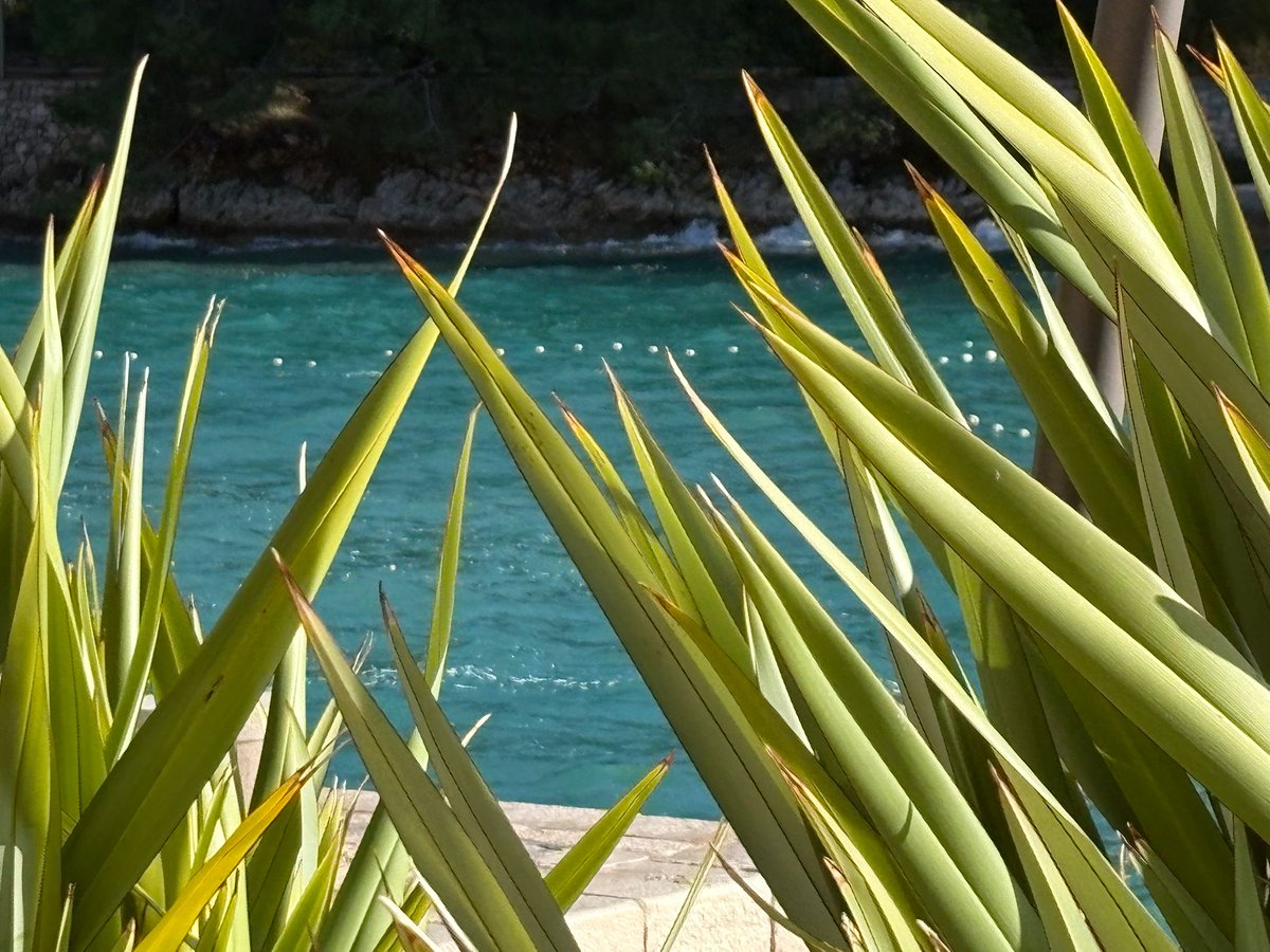 Colors of Čikat ❤️ #golosinj #colorsoflosinj