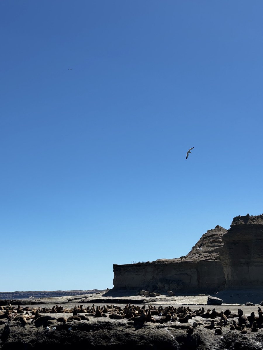 Unión Europea en Argentina tweet media