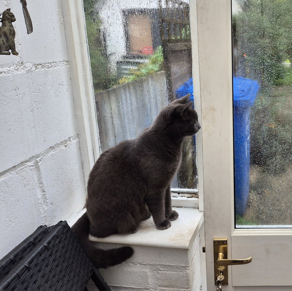 We sat quietly today &amp; thought about a beautiful girl who had to leave her family to go OTRB 🌈 Sending love to Dotty's family who love &amp; miss her so much #HedgewatchforDotty ❤️