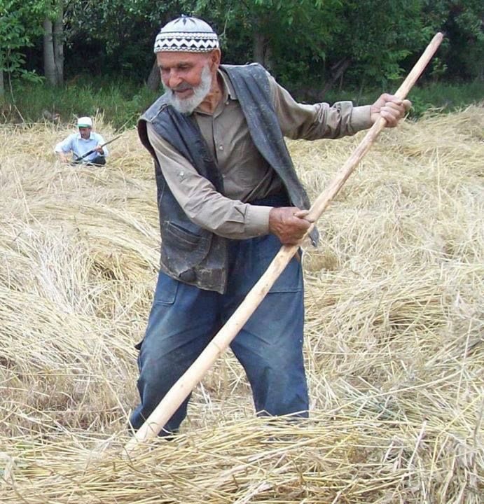 Baban hakkında bir şey söyle