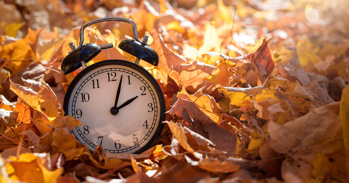 firstsebank's tweet photo. As Daylight Savings ends, don’t forget to set your clock back an hour!

#CommunityBank https://t.co/KhMnEYmpOY
