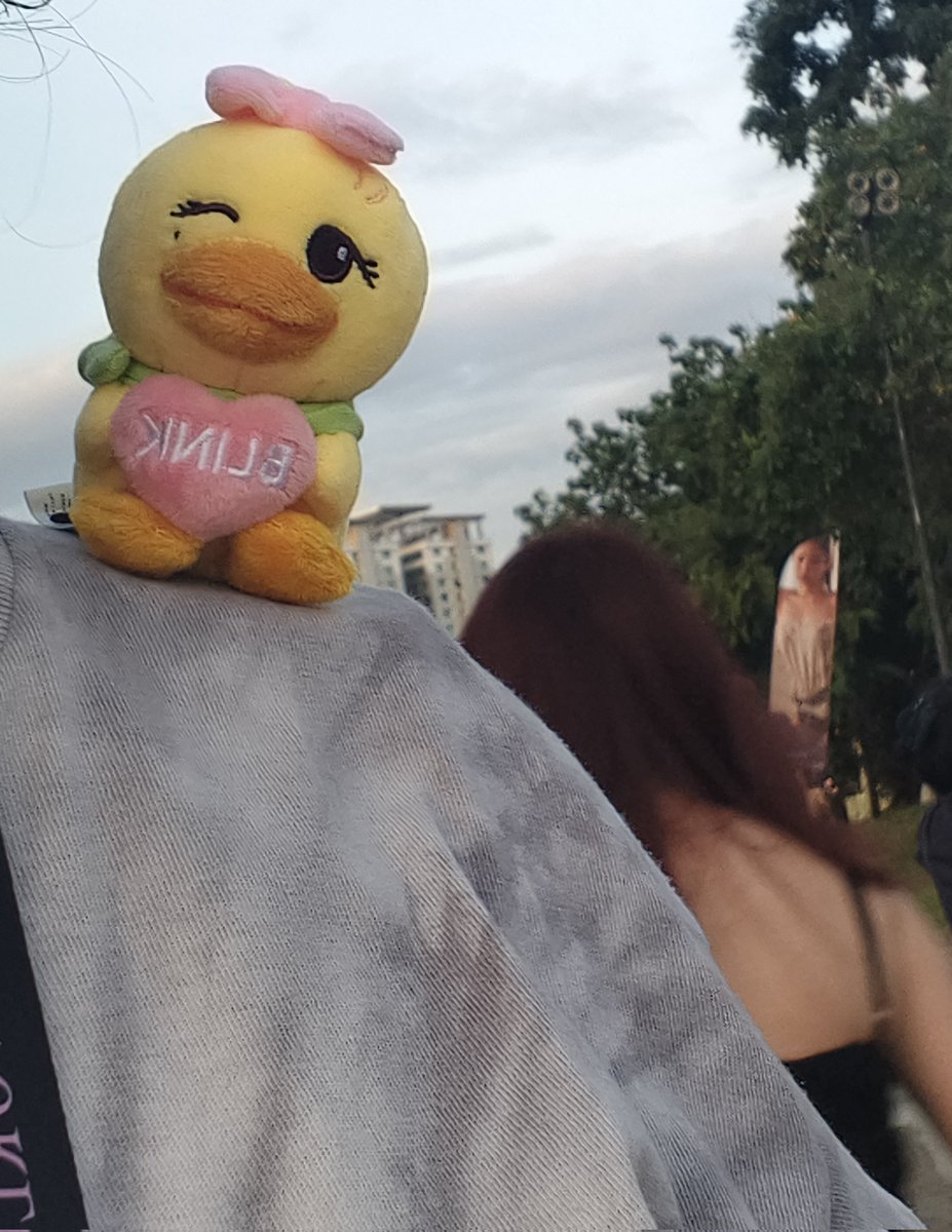 มีเป็ดเกาะไหล่เป็นของตัวเอง