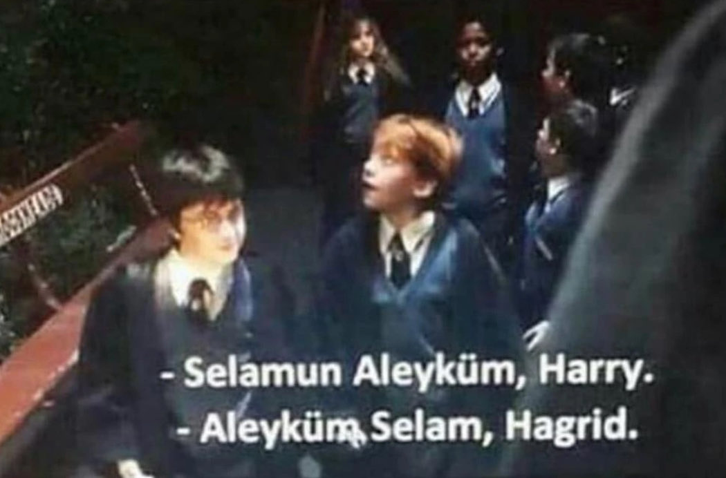 harald (niedersachse🤘) (@nichtharald) on Twitter photo 