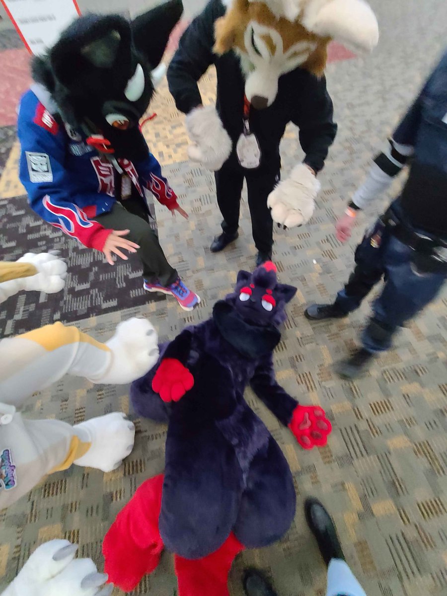 rr_chargin's tweet image. I’m on da floor!!! Happy floor fursuit Friday