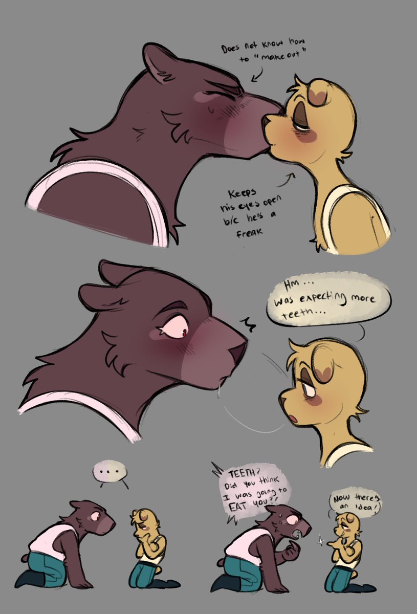 py🐻 (@pybiting) on Twitter photo 