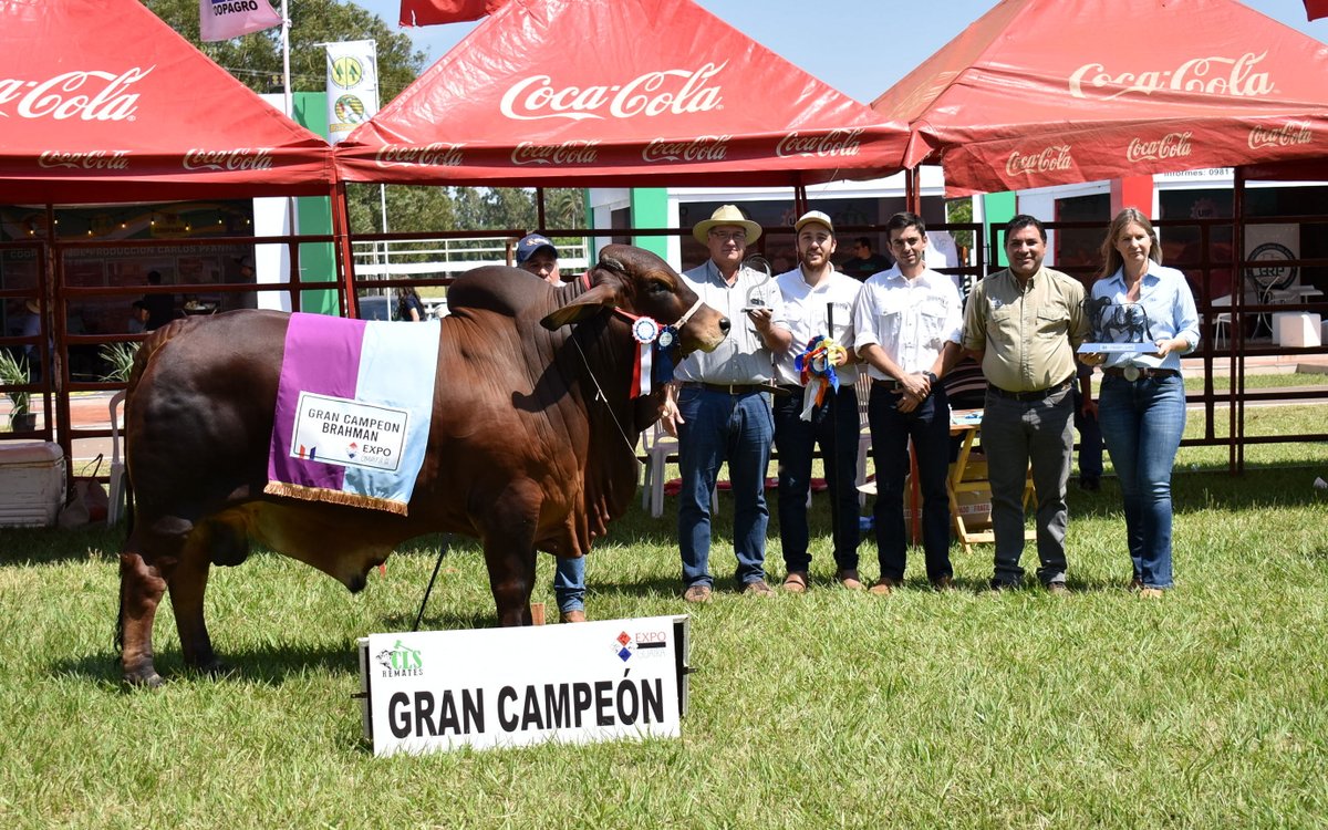 arp_py's tweet image. LA JURA DE ANIMALES DE LA EXPO GUAIRÁ 2025 CERRÓ CON EXCELENTE GENÉTICA BOVINA Y OVINA

Entraron en competencia ejemplares de las razas Brahman, Nelore Astado y Mocho, Dorper, Texel y Hamphire Down.
acortar.link/xzOfUv