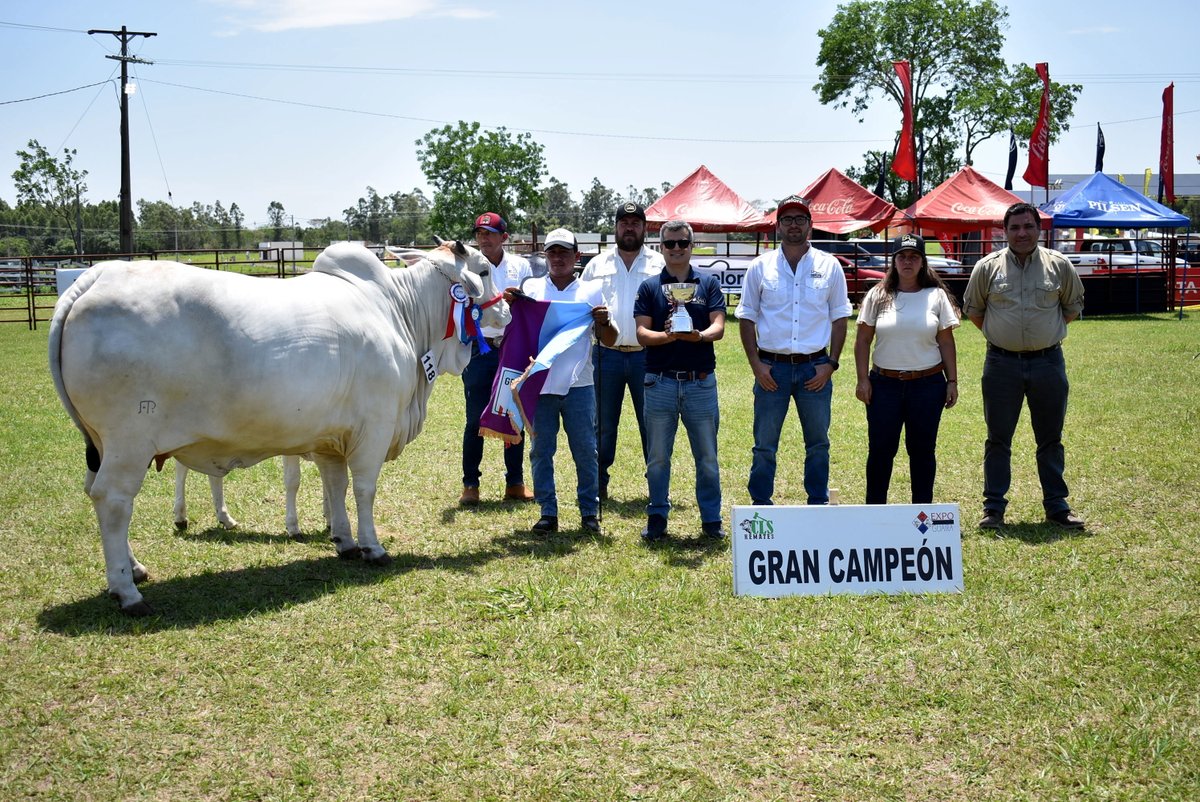 arp_py's tweet image. LA JURA DE ANIMALES DE LA EXPO GUAIRÁ 2025 CERRÓ CON EXCELENTE GENÉTICA BOVINA Y OVINA

Entraron en competencia ejemplares de las razas Brahman, Nelore Astado y Mocho, Dorper, Texel y Hamphire Down.
acortar.link/xzOfUv