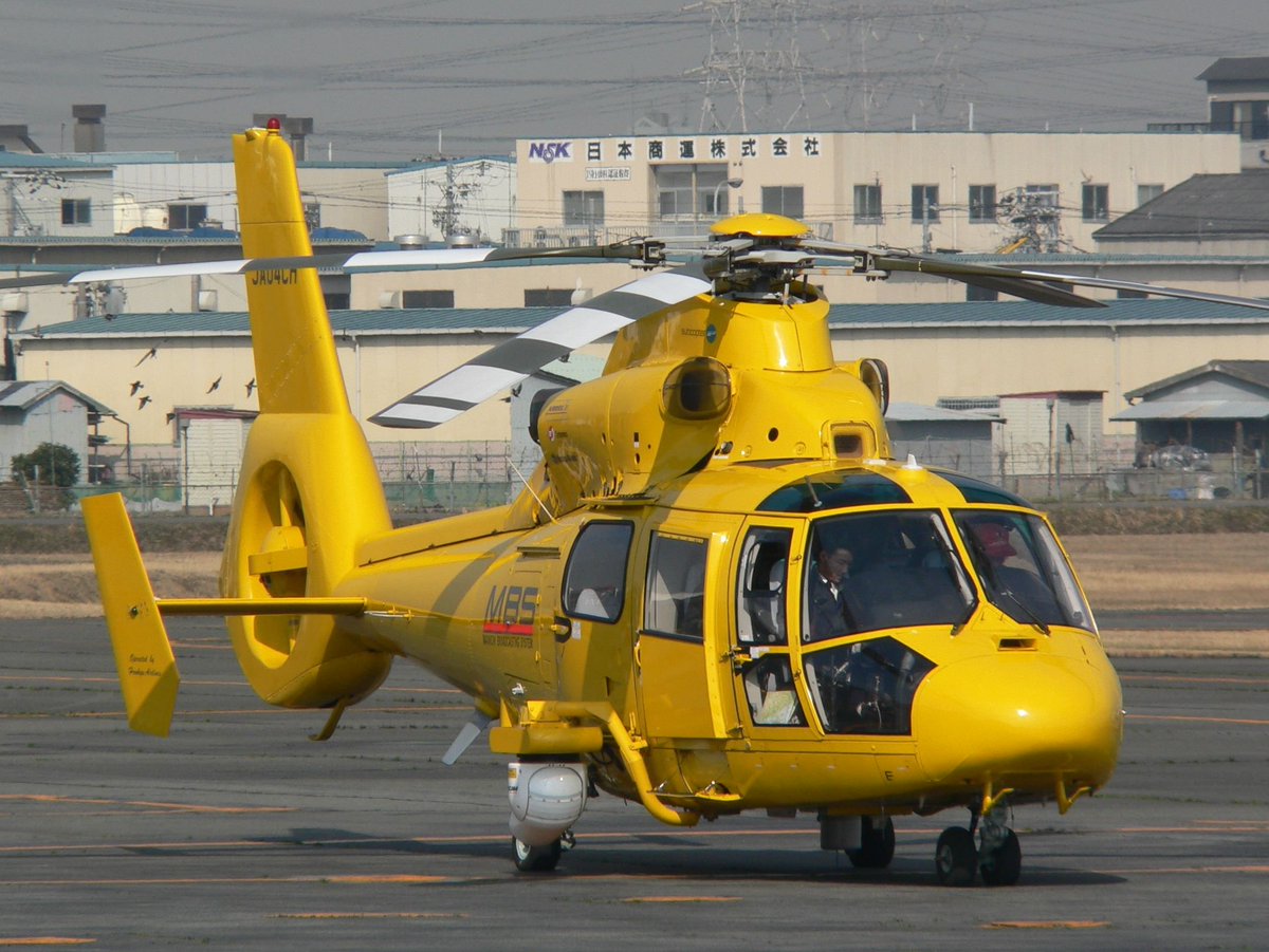 #ドーファンを愛でる会