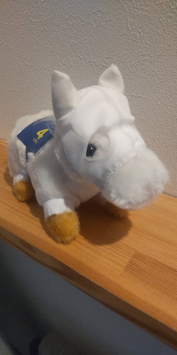 きゅ@ページ Amazon.co.jp: さんけい みにちゅあーとキット スタジオジブリ