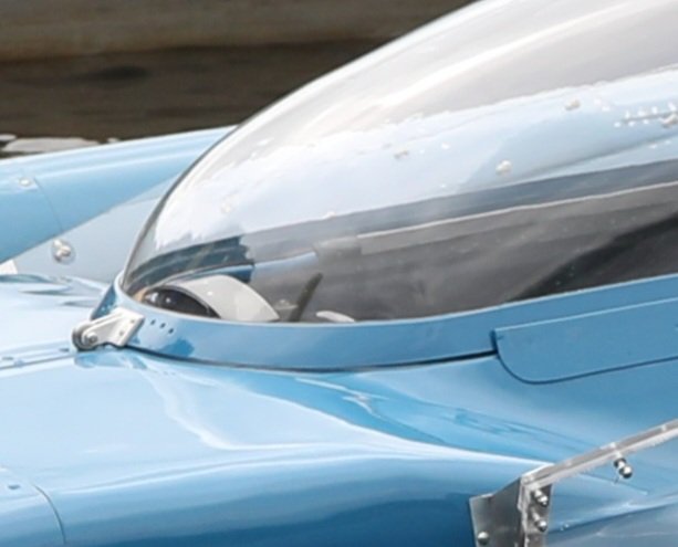 The Bluebird Project tweet media