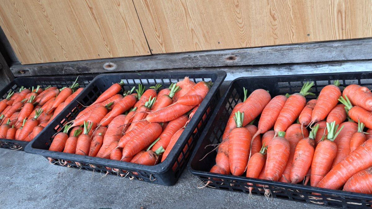 神様とやさい 神栖の波崎で行われる神栖ワールドユースフットボールに参加しに