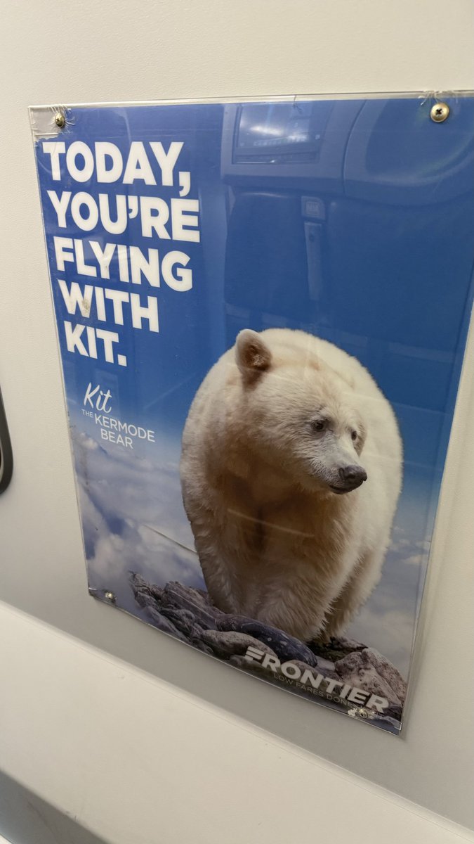 The Legend (@inthelooplegend) on Twitter photo 