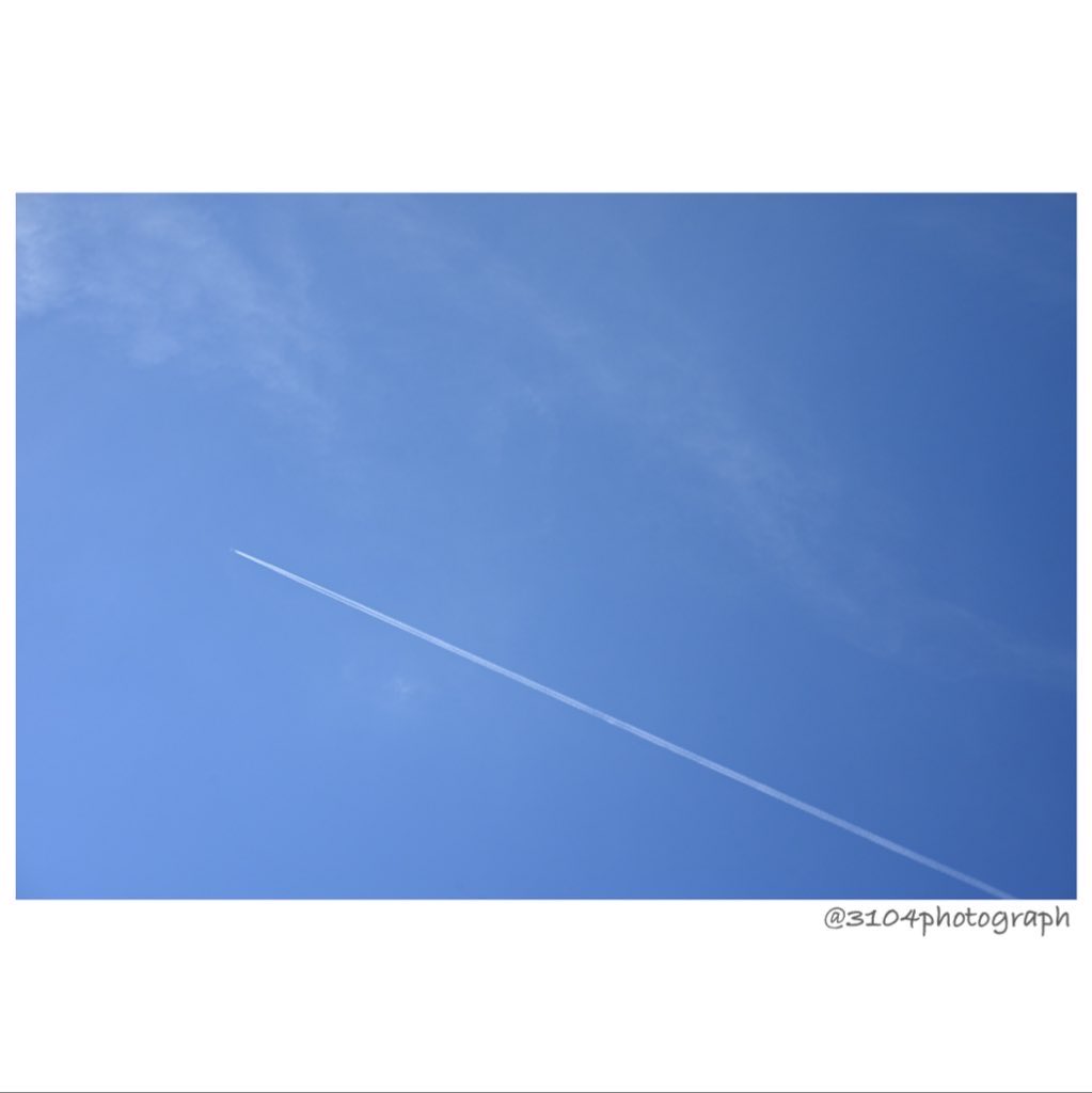 写真のアルケオロジー 写真のアルケオロジー』ジェフリー・バッチェン – artscape