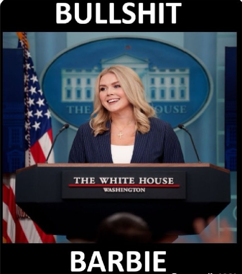 bobdog tweet media