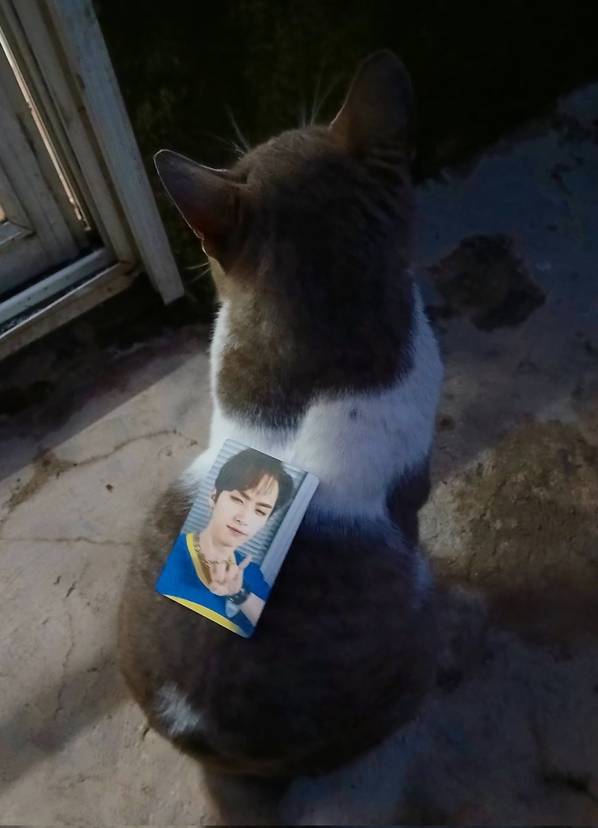 Hanlunita's tweet image. Feliz cumpleaños Linitoo! Acá Miguel te manda buenos deseos gatunos 😽💐
LEE KNOW BORN TO INSPIRE 
#하이하이_오늘은_리노_생일
#PoetryInMotionLeeKnow
#HappyLeeKnowDay