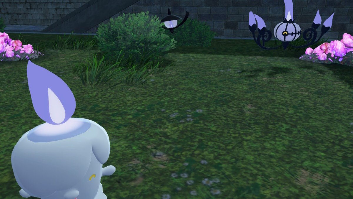 hiwo_tomose's tweet image. にこにこ3きょうだい

                                わぁい
                                                                 わぁい
              
わぁい