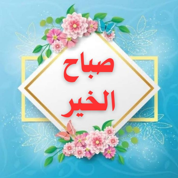 amalda100's tweet photo. قال ﷻ
*﷽ ﴿ وَرَبُّكَ الْغَفُورُ ذُو الرَّحْمَةِ ﴾*

إن ارتكبت ذنباً فلا تتردد 
بطرق باب الله معتذراً ..
فالكريم لا يرد من وقف ببابه سبحانه ..

اللهم اشملنا بواسع مغفرتك وع��وك ..

صباح الخير https://t.co/NMzfLfNA9L