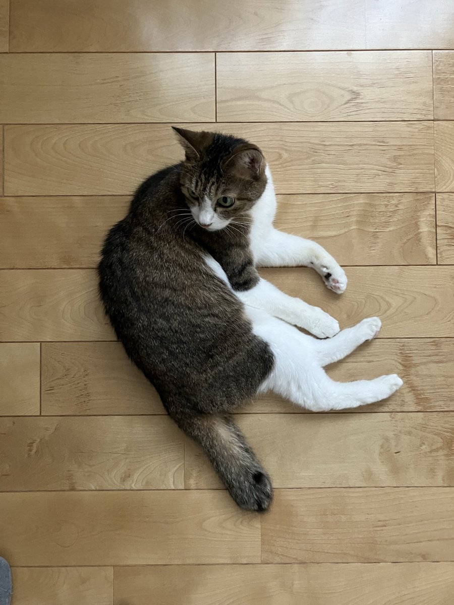 polaris_book_re's tweet image. いろいろと選択肢を間違える一週間だった。